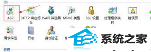 点击”Asp“图标