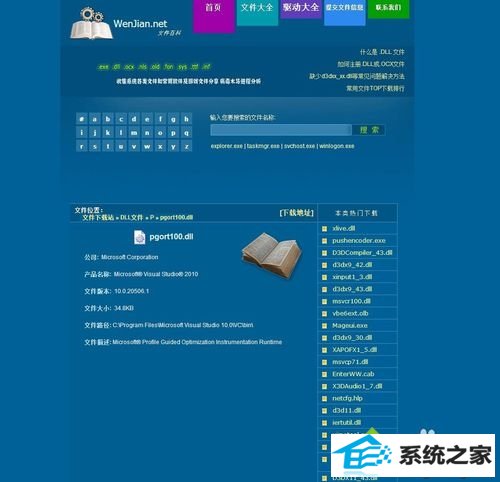 下载并放入pgort100.dll的步骤1.2