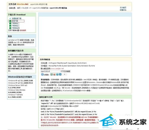 下载并放入pgort100.dll的步骤2.2