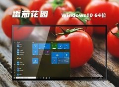 ѻ԰v2024.05win10 64λɫഺ