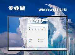 ľ⼤win11 64λ»v2025.05