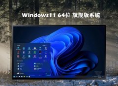ϵͳ֮v2025.05win11 64λרҵ