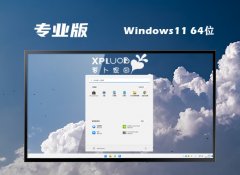 ܲ԰win1164λv2025.05