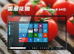 ѻ԰win8.164λͳv2025.05