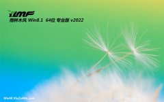 雨林木风win8.1最新64位中文超级版v2022.02